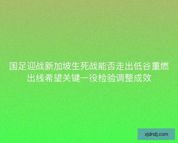 国足迎战新加坡生死战能否走出低谷重燃出线希望关键一役检验调整成效 国足迎战新加坡生死战能否走出低谷重燃出线希望关键一役检验调整成效