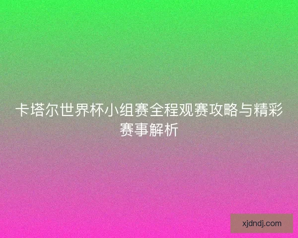 卡塔尔世界杯小组赛全程观赛攻略与精彩赛事解析 卡塔尔世界杯小组赛全程观赛攻略与精彩赛事解析