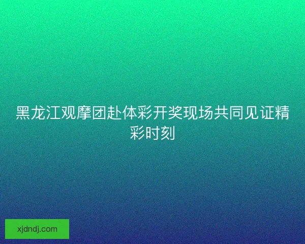 黑龙江观摩团赴体彩开奖现场共同见证精彩时刻 黑龙江观摩团赴体彩开奖现场共同见证精彩时刻